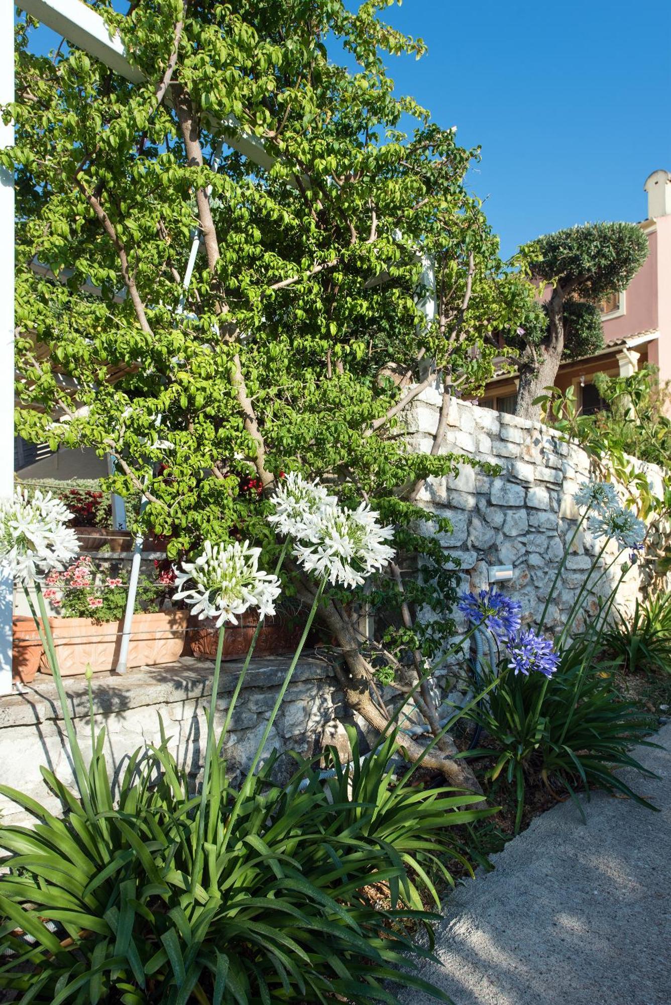 Hill Lofos Hotel Kassiopi Exterior foto