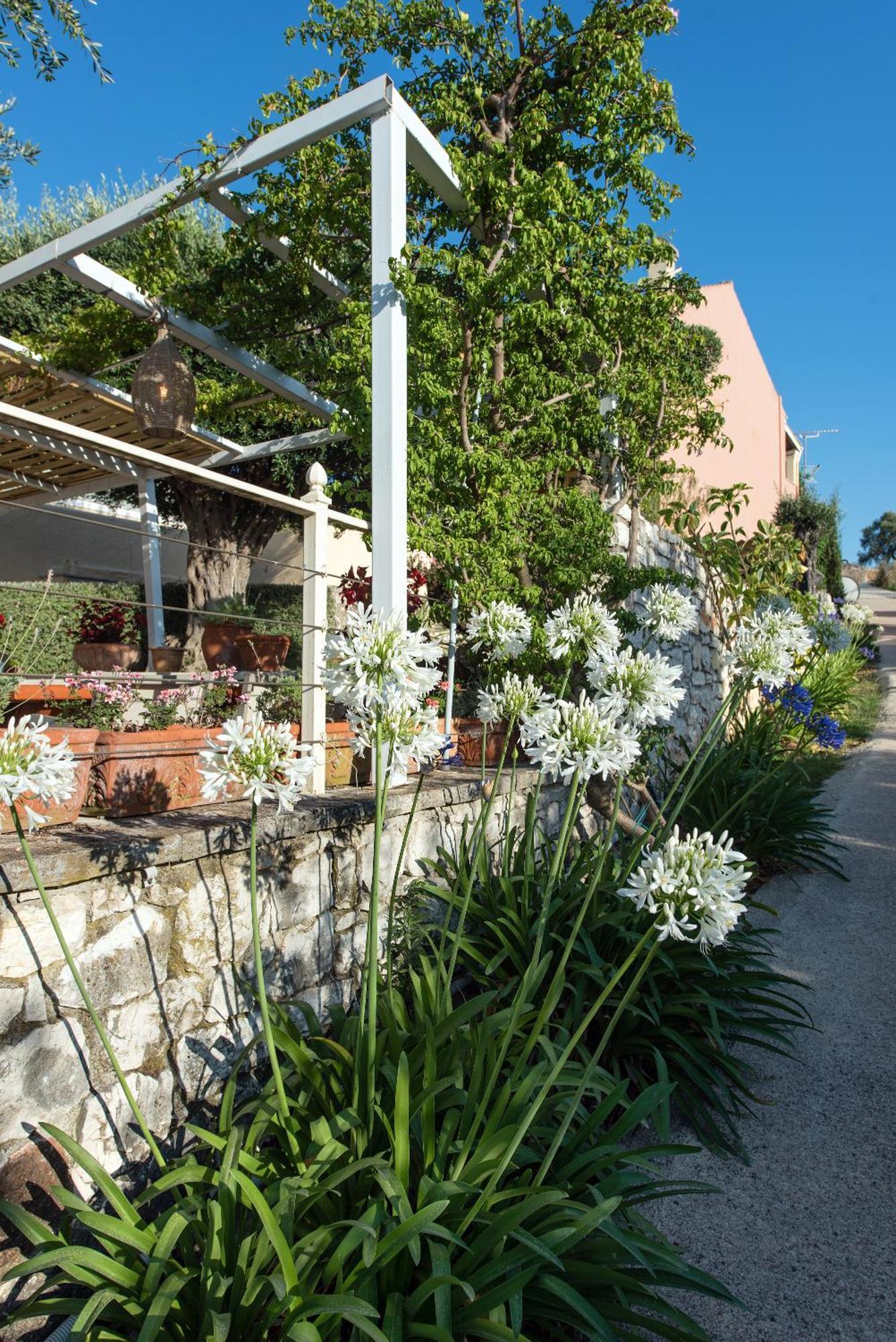 Hill Lofos Hotel Kassiopi Exterior foto